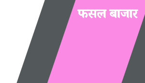 Sulphate