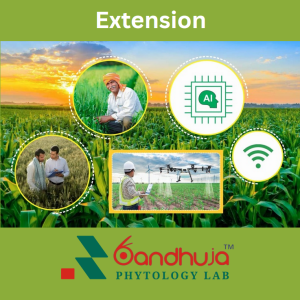 Extension