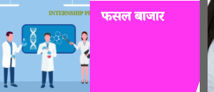 Industrial Internship