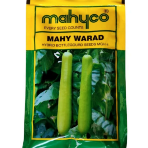 Bottle Gourd Seeds