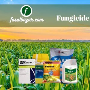 Fungicide