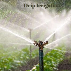 Drip irrigation Farming