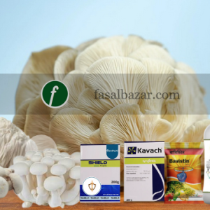 Mushroom Farming