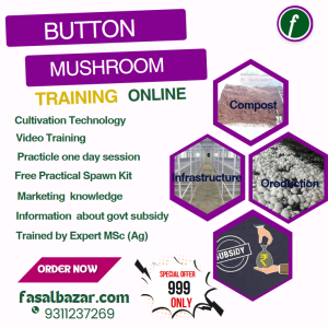 Button Mushroom Training Program- मशरूम प्रशिक्षण ट्रेनिंग प्रोग्राम