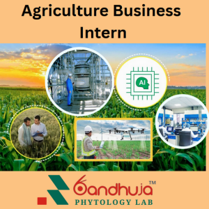 Industrial Internship