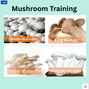 Training and Courses