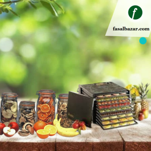 Vegitable-Fruit