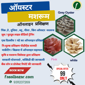 Oyster Mushroom Training Program- मशरूम प्रशिक्षण ट्रेनिंग प्रोग्राम