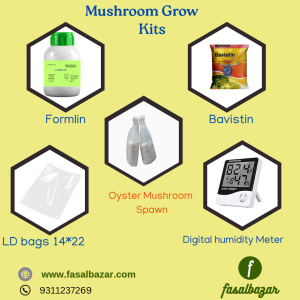Oyster Mushroom Growing kits-100 bags