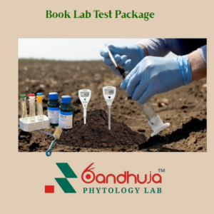 Book Lab Test Package