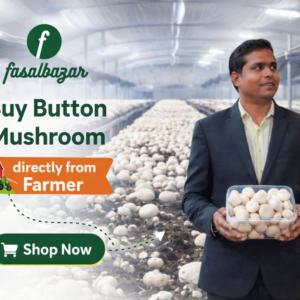 Buy Directly from Farmer